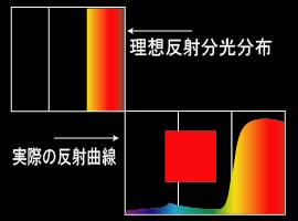カラー　分光分布　誤反射　赤