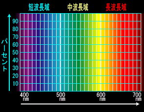 カラー　分光分布