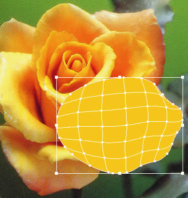 Illustrator/イラストレーター講座　チュウトリアル　花