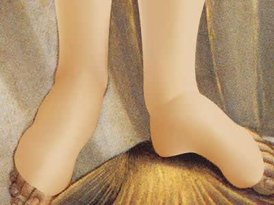 Illustrator　グラデーションメッシュ　ビーナスを描く　足の甲