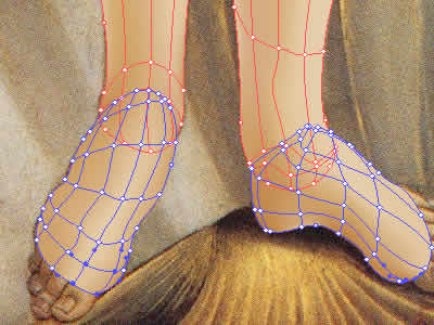 Illustrator　グラデーションメッシュ　ビーナスを描く　足の甲メッシュライン