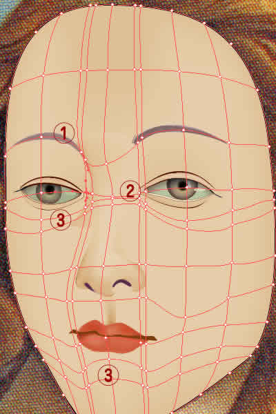 Illustrator　グラデーションメッシュ　ビーナスを描く　顔地肌